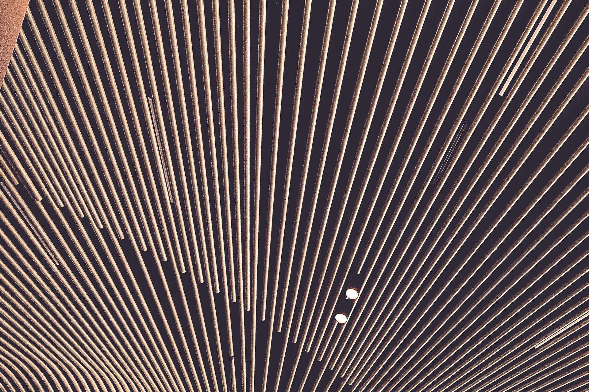 Curved timber battens continuing from an interior wall across the ceiling