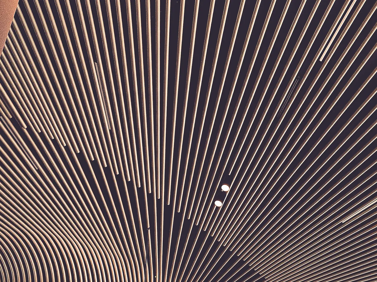 Curved timber battens continuing from an interior wall across the ceiling