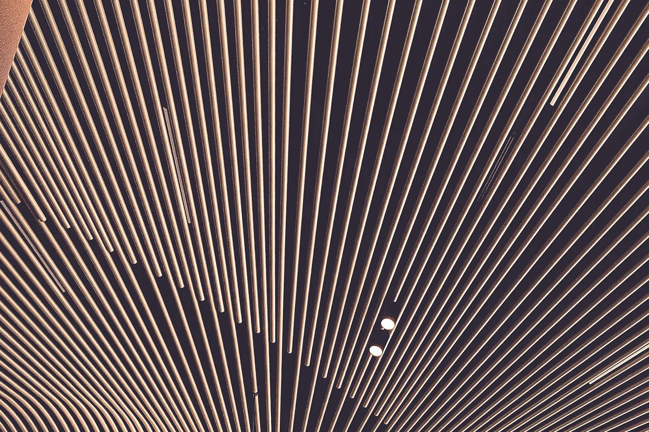 Curved timber battens continuing from an interior wall across the ceiling
